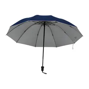 Umbrella with silver inside